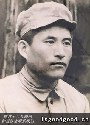 杨宝山人物照片