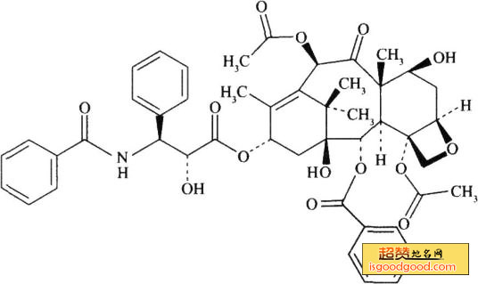 紫杉醇特产照片