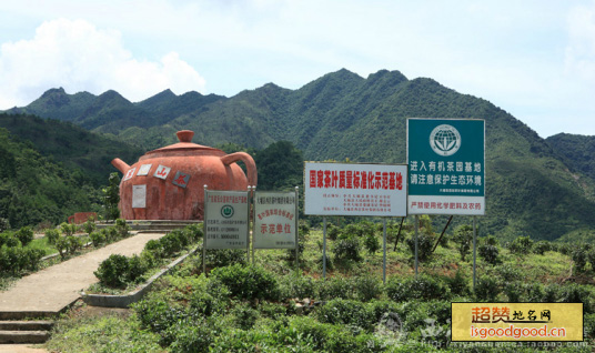 西岩山茶特产照片