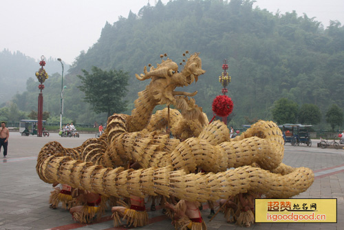 沐川草龙特产照片