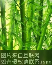 阳新把竹特产照片