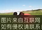 巴彦淖尔小麦特产照片