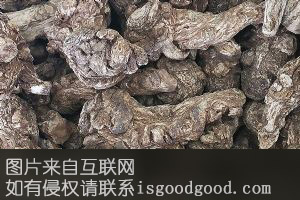 名贵药材特产照片