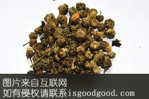 吉利区怀菊花特产照片