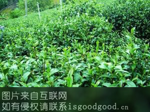 丹仙湖茶特产照片