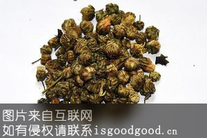 祁菊花茶特产照片