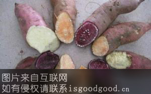 迁安甘薯特产照片