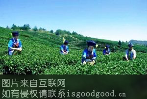 奎文阁茶叶特产照片