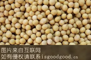 祁老大豆制产品特产照片