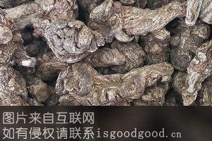 中草药材特产照片