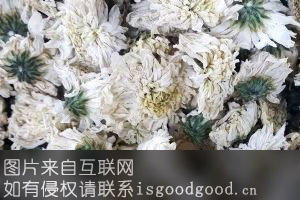 南张甜叶菊特产照片