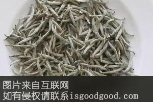 金华双龙银针茶特产照片