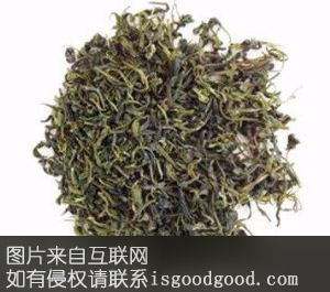 野生苦丁茶特产照片