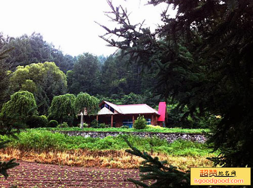 平顶山附近景点和睦森林公园