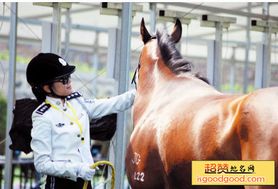 大连女子骑警基地景点照片