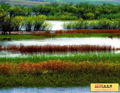 东方红湿地国家级自然保护区景点照片