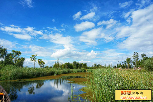 康荣附近景点大河岛生态公园