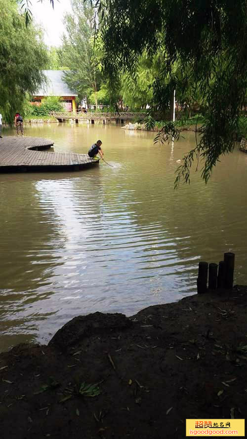 托古附近景点肇州湿地