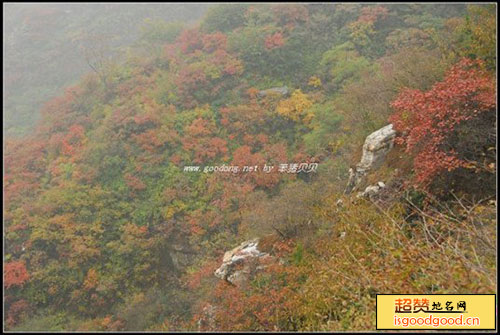 泗马沟村景点照片