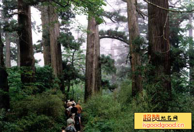 天目山商周遗址景点照片