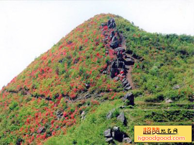 上余附近景点乌石山风景区