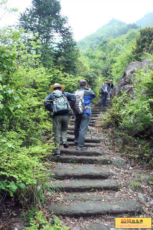 新碧附近景点苍岭古道