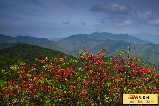 茶树坪村景点照片