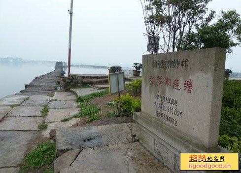 犭央犭茶湖避塘景点照片