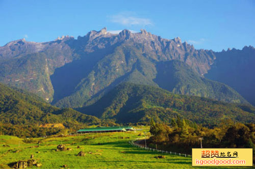 神山公园景点照片