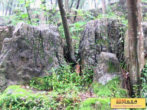 李冲回族附近景点八公山国家地质公园