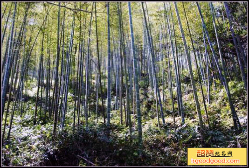 石山园景点照片