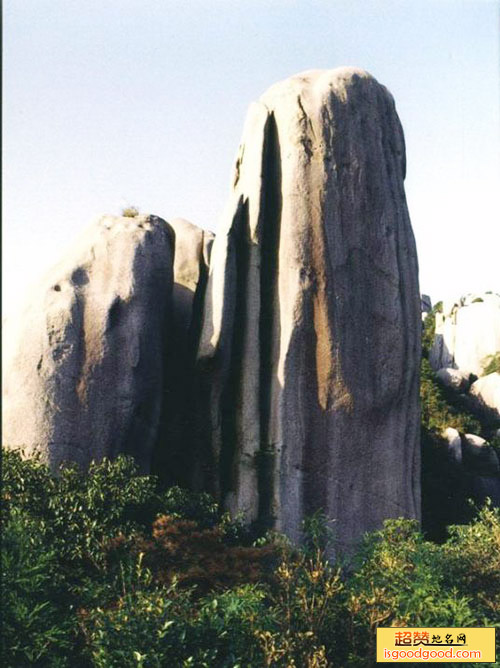 仙人锯板景点照片