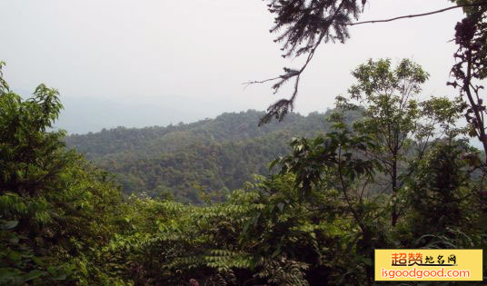 临港附近景点历居山