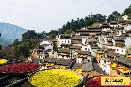 蚺城附近景点篁岭村