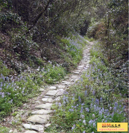 芦峰岭古商道遗址景点照片