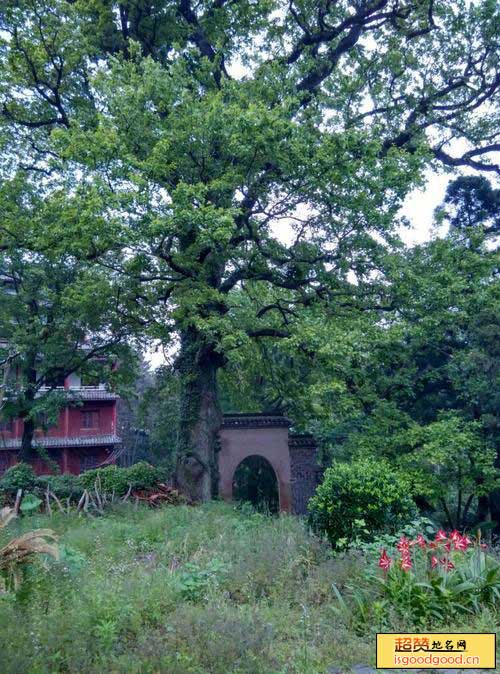 庐山海会寺景点照片