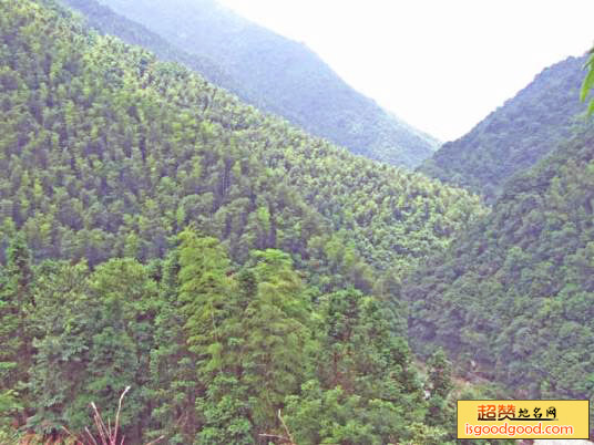 五梅山风景区景点照片