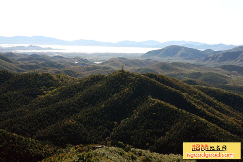 九龙山国家森林公园景点照片