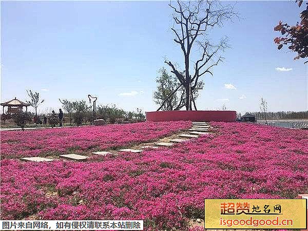 仙河花海生态乐园景区景点照片