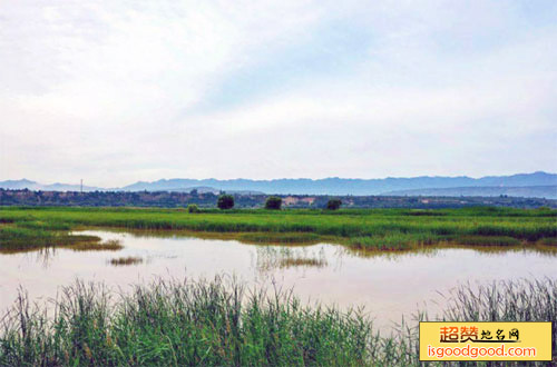 西阎附近景点鼎湖湾风景区