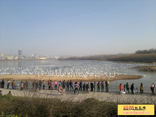 天鹅湖国家城市湿地公园景点照片