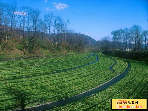 海兴小山景点照片