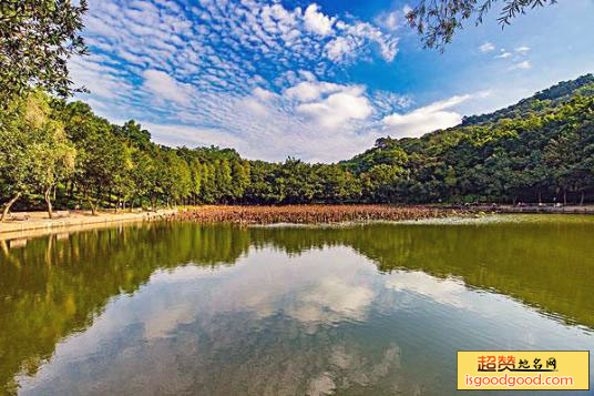 谭家湾附近景点青龙山恐龙蛋化石群国家地质公园