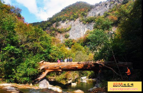 青曲附近景点虎啸滩风景区