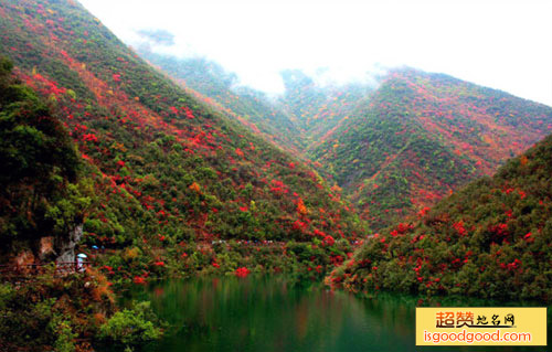 五龙河景区景点照片