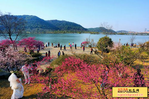 桃花山自然风景区景点照片