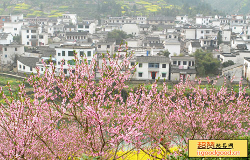 桃花村景点照片