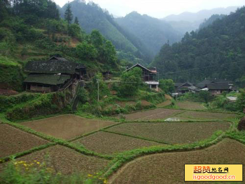 渠江茶园景点照片