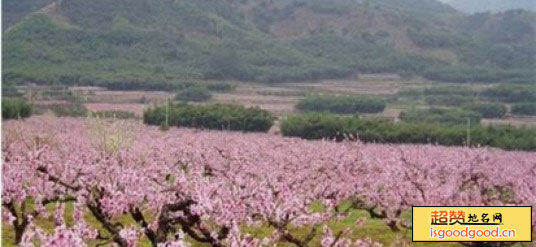 桃花山森林公园景点照片