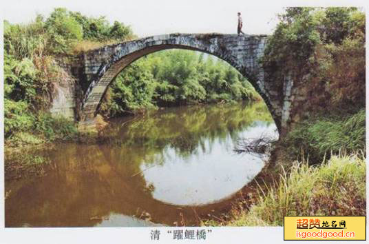 跃鲤桥景点照片